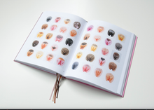 Load image into Gallery viewer, A Celebration of Vulva Diversity book lying open to a spread of illustrations of the diversity of vulvas