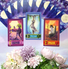 Load image into Gallery viewer, The Barkana a spread