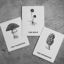 Load image into Gallery viewer, The Personal Oracle the Toadstool, the mold and the mushroom cards