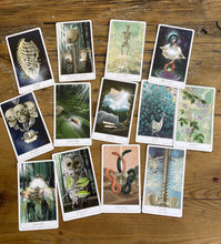 Load image into Gallery viewer, Energy Archeology Oracle