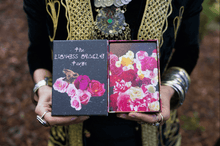 Load image into Gallery viewer, Lioness Oracle Tarot Box Front