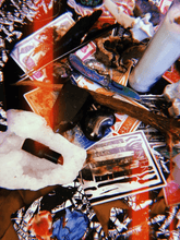 Load image into Gallery viewer, Living Altar Oracle