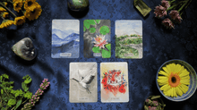 Load image into Gallery viewer, Morning Calm Oracle - Spread