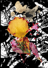 Load image into Gallery viewer, Living Altar Oracle - Broken Flowers