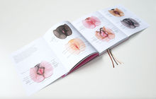 Load image into Gallery viewer, A Celebration of Vulva Diversity book open to expandable spread
