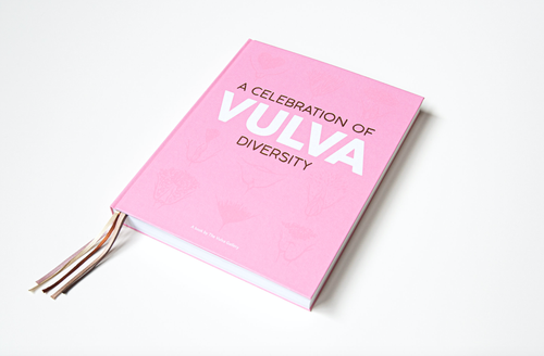 A Celebration of Diversity book lying flat on a white background